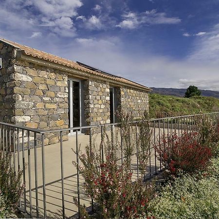 Fig Tree House Villa Calheta  Exterior photo